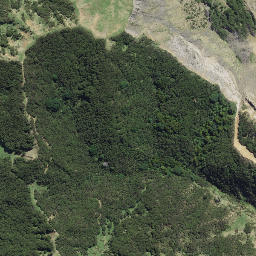Satellite imagery of Paerau Point, NZ