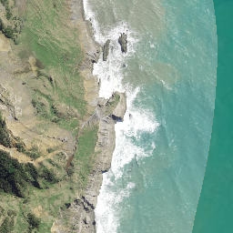 Satellite imagery of Paerau Point, NZ