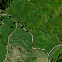 Satellite imagery of 8231, NZ