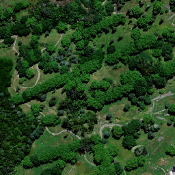 Satellite imagery of W (Otanake SD), NZ