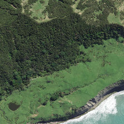 Satellite imagery of Paerau Point, NZ