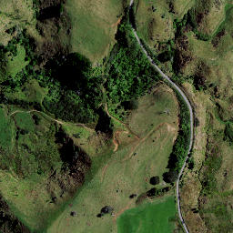 Satellite imagery of Z NO 2, NZ