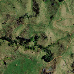 Satellite imagery of Z NO 2, NZ