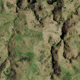 Satellite imagery of Z NO 2, NZ