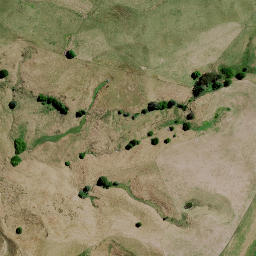 Satellite imagery of 8322, NZ