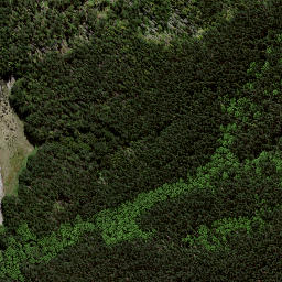 Satellite imagery of 133A, NZ