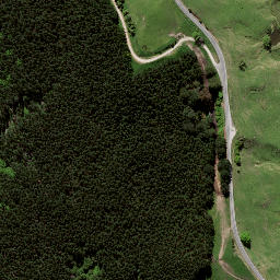 Satellite imagery of 133A, NZ