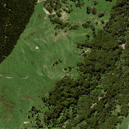 Satellite imagery of 138, NZ