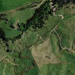 Satellite imagery of Z NO 2, NZ