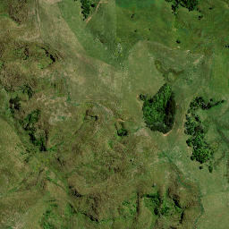 Satellite imagery of 8262, NZ