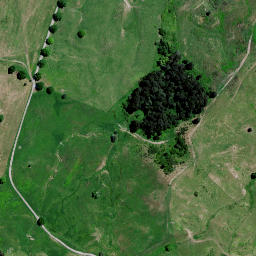 Satellite imagery of P1 (Otanake SD), NZ