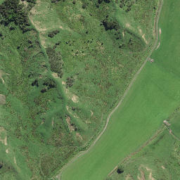 Satellite imagery of Te Karaka Point, NZ