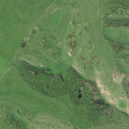 Satellite imagery of Te Karaka Point, NZ