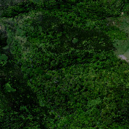 Satellite imagery of X1 PEHIMATEA, NZ