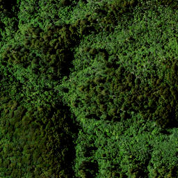 Satellite imagery of 1641 RANGITOTO, NZ