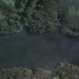 Satellite imagery of Maraetai Dam - IT IIIA, NZ