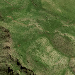 Satellite imagery of 141A NO 2, NZ