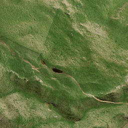 Satellite imagery of 141A NO 2, NZ