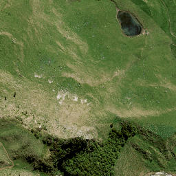 Satellite imagery of 141A NO 2, NZ