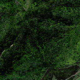 Satellite imagery of X1 PEHIMATEA, NZ