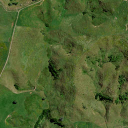 Satellite imagery of 8262, NZ