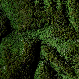 Satellite imagery of 1641 RANGITOTO, NZ