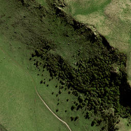 Satellite imagery of 141A NO 2, NZ