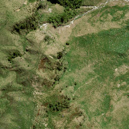 Satellite imagery of 141A NO 2, NZ