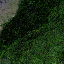 Satellite imagery of Tapirimoko Point, NZ