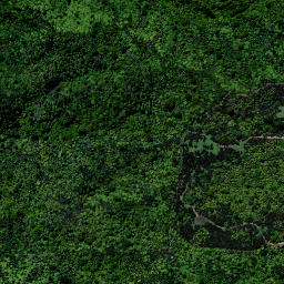 Satellite imagery of X1 PEHIMATEA, NZ
