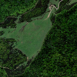 Satellite imagery of X1 PEHIMATEA, NZ