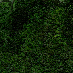 Satellite imagery of X1 PEHIMATEA, NZ