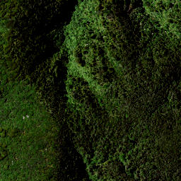 Satellite imagery of 1641 RANGITOTO, NZ