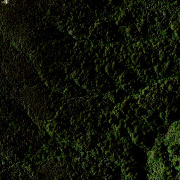 Satellite imagery of 1641 RANGITOTO, NZ