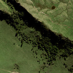 Satellite imagery of 141A NO 2, NZ