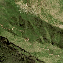 Satellite imagery of 141A NO 2, NZ