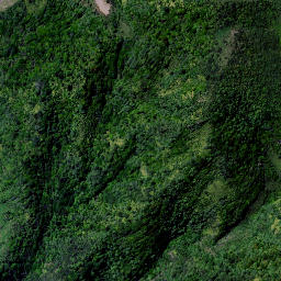 Satellite imagery of Tapirimoko Point, NZ
