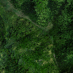 Satellite imagery of Tapirimoko Point, NZ