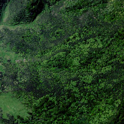 Satellite imagery of Tapirimoko Point, NZ