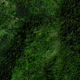 Satellite imagery of Tapirimoko Point, NZ