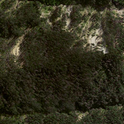 Satellite imagery of ARAKIHI SOUTH, NZ