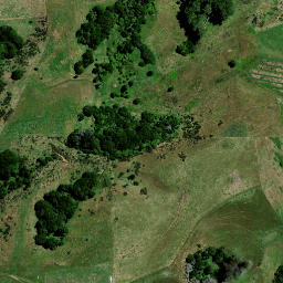 Satellite imagery of 8342, NZ