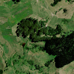 Satellite imagery of 8342, NZ