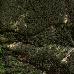 Satellite imagery of ARAKIHI SOUTH, NZ