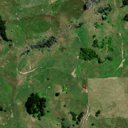 Satellite imagery of 8342, NZ