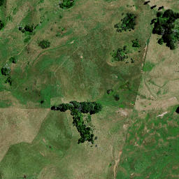 Satellite imagery of 8342, NZ