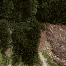 Satellite imagery of ARAKIHI SOUTH, NZ