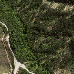 Satellite imagery of ARAKIHI SOUTH, NZ
