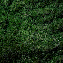Satellite imagery of 1657 MAUNGAMANGERO, NZ