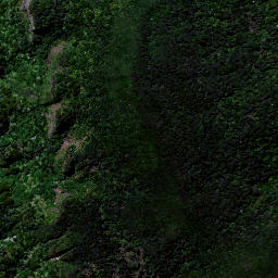 Satellite imagery of 1657 MAUNGAMANGERO, NZ